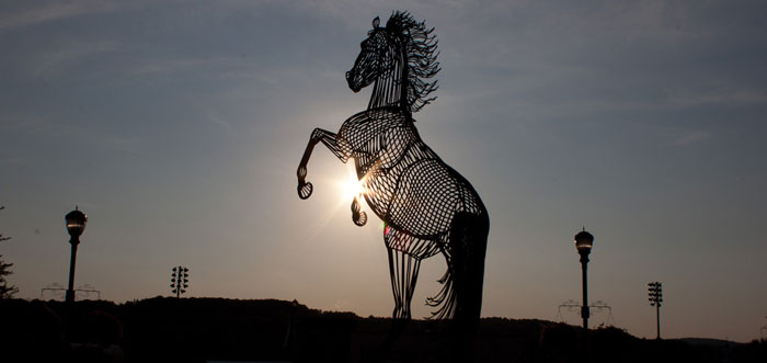 Morrisville State College